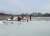 В Ушачском районе сельчанин решил на санках прокатиться по озеру. Под лед провалился конь