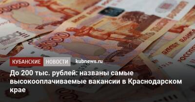 До 200 тыс. рублей: названы самые высокооплачиваемые вакансии в Краснодарском крае