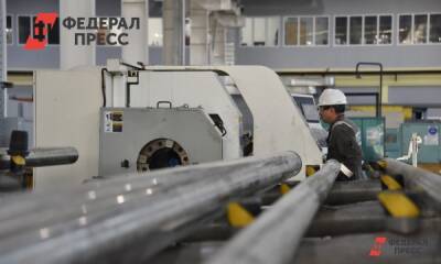 Путин похвалил уральских металлургов за развитие торговли с Бразилией