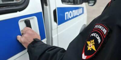 В Москве задержали двух мигрантов, избивших полицейских на станции «Тульская»