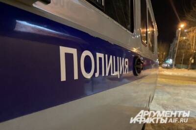 Оба напавших на полицейских в московском метро задержаны по горячим следам