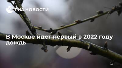 В Москве идет первый в 2022 году дождь, местами с мокрым снегом