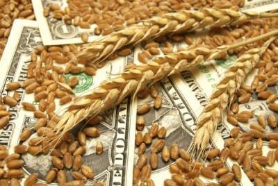 Россия снизит пошлины на экспорт пшеницы, кукурузы и ячменя