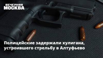 Полицейские задержали хулигана, устроившего стрельбу в Алтуфьево