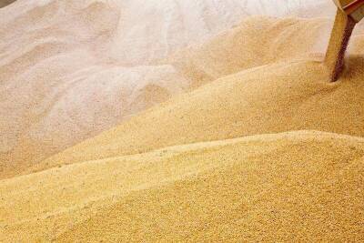 С 23 февраля экспортная пошлина на пшеницу из РФ снижается до $91 за тонну