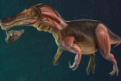 Найдены останки динозавра, который мог регенерировать зубы