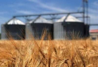 Украина на 26% увеличила агроэкспорт в ЕС
