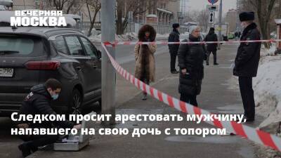Юлия Иванова - Следком просит арестовать мужчину, напавшего на свою дочь с топором - vm.ru - Москва - Россия - Следственный Комитет