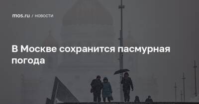 В Москве сохранится пасмурная погода - mos.ru - Москва