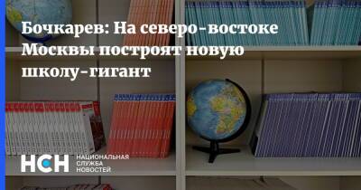Бочкарев: На северо-востоке Москвы построят новую школу-гигант