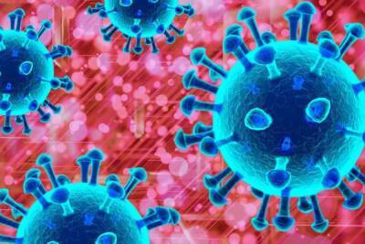 Что такое кожный тест на иммунитет к COVID-19 и как он работает