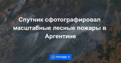 Спутник сфотографировал масштабные лесные пожары в Аргентине