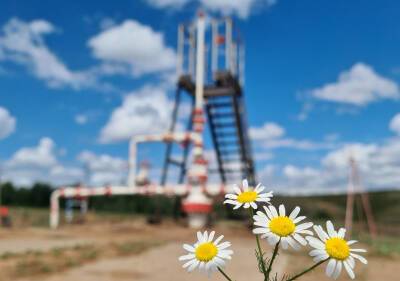 «РН-Няганьнефтегаз» направил на охрану природы более 700 млн рублей
