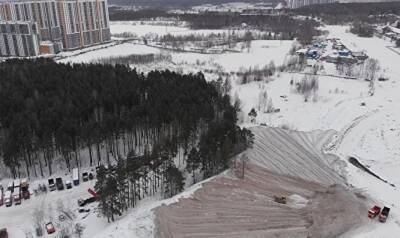 В Петербурге обращение к Шнурову на снежной свалке уничтожили за один час