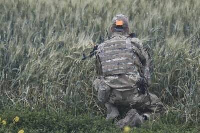 Политолог допустил применение вооруженных сил РФ в Донбассе