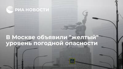 Гидрометцентр объявил "желтый" уровень погодной опасности в Москве и области из-за ветра