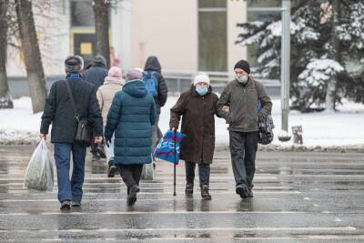 Мокрый снег и дождь прогнозируют псковские синоптики 19 февраля