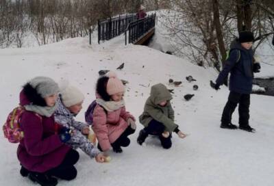 Школьники из Тихвина угостили лакомствами зимующих в Ленобласти птиц