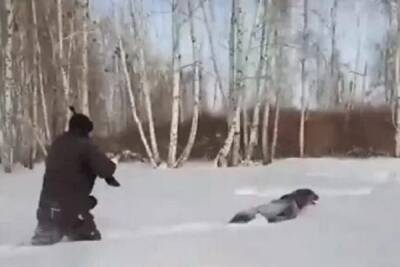 В Госдуме возьмут под контроль ситуацию с жестокой расправой над собакой в Челябинской области