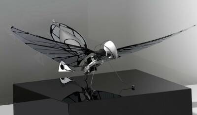«Мухи» – шпионы и убийцы: во Франции разработан дрон с машущими крыльями