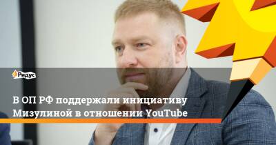 ВОП РФподдержали инициативу Мизулиной вотношении YouTube