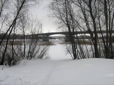 Жители Новгорода возмущены тратами на ремонт Колмовского моста