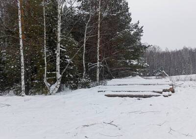 Житель Удмуртии причинил ущерб лесу в размере миллиона рублей