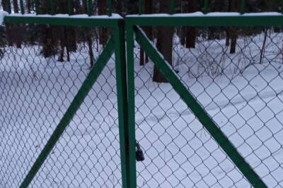 В Тверской области снесут частный забор, который лишил людей доступа к Волге