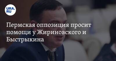 Пермская оппозиция просит помощи у Жириновского и Быстрыкина