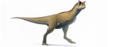В Аргентине нашли новый вид динозавра с непропорционально маленькими передними лапами
