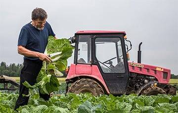 «В Беларуси очень мало фермеров, которые работают не на экспорт» - charter97.org - Россия - Украина - Белоруссия - район Слуцкий
