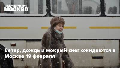 Ветер, дождь и мокрый снег ожидаются в Москве 19 февраля