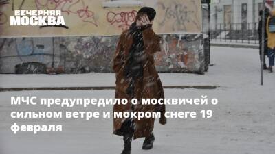 МЧС предупредило о москвичей о сильном ветре и мокром снеге 19 февраля