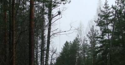 Сильный ветер в Латвии – Sadales tīkls напоминает о безопасности вблизи линий электропередач