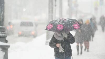 Москвичей предупредили о мокром снеге и ветре с порывами до 18 м/с 19 февраля