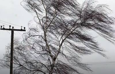 Ураганный ветер и дождь со снегом: синоптик Диденко предупредила об ухудшении погоды в субботу