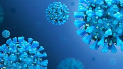 Гинцбург: для остановки мутации COVID-19 следует за шесть-восемь месяцев достичь коллективного иммунитета в мире