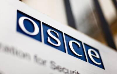 ОБСЕ выразила глубокую обеспокоенность ситуацией на востоке Украины