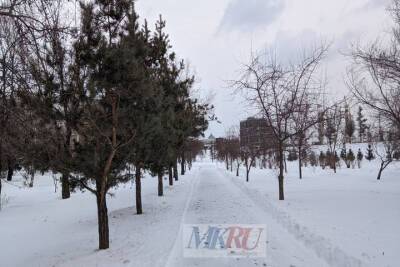 Теплая и снежная погода ожидает жителей Красноярска 19 февраля