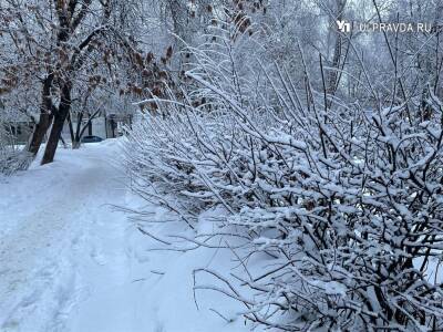 Снег, ветер и гололед. В Ульяновскую область пришел атлантический циклон