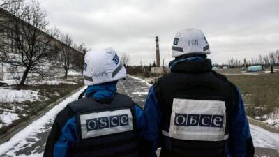 СМИ: Франция оставит наблюдателей ОБСЕ на Донбассе