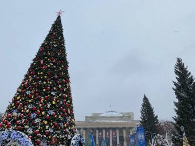 В Новосибирске 19 февраля демонтируют главную ёлку на площади Ленина