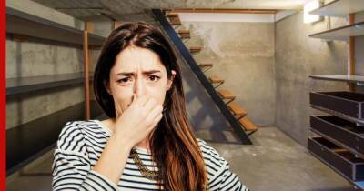 Как избавиться от затхлого запаха в подвале: простые способы
