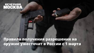 Правила получения разрешения на оружие ужесточат в России с 1 марта