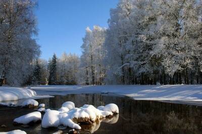 После 23 февраля в Центральной России похолодает
