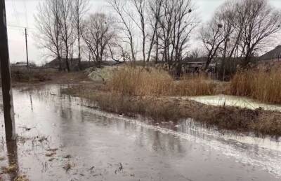 Грунтовые воды вырвались на поверхность вблизи Северодонецка, затоплены дома (фото)