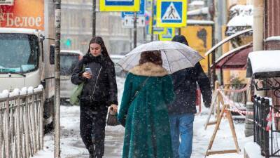 МЧС предупредило об ухудшении погодных условий в Петербурге