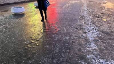 Жителей Петербурга предупредили о гололедице и мокром снеге