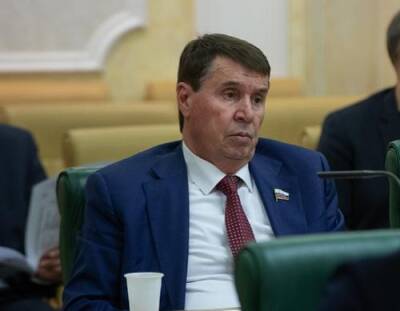 Сенатор Цеков заявил, что США провоцируют активные действия Украины против республик Донбасса