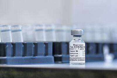 Гинцбург назвал условие для комбинации назальной вакцины со «Спутником V»